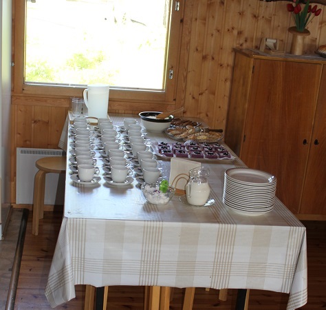 Kattaus